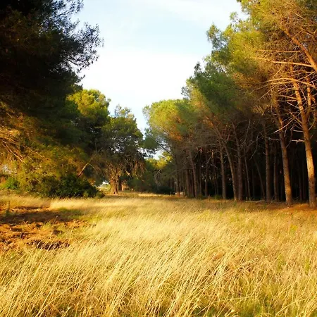 Falanto Camping Village Nuova Gestione * Паладжано
