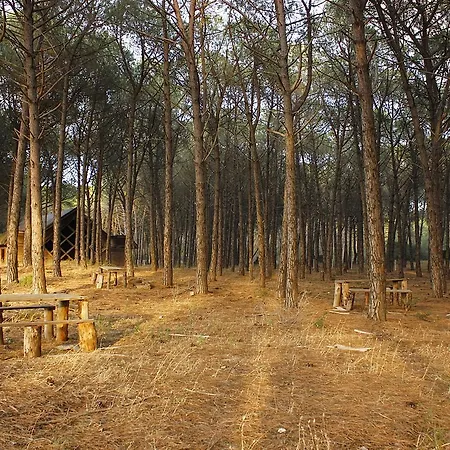 Кемпинг Falanto Camping Village Nuova Gestione Паладжано