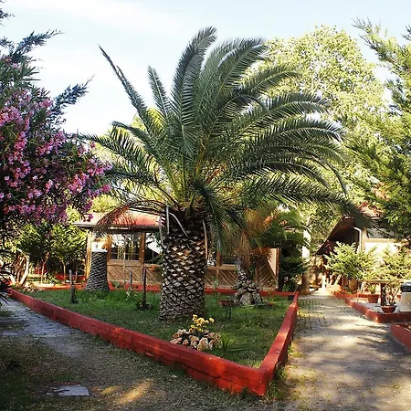 Falanto Camping Village Nuova Gestione Кемпинг Паладжано