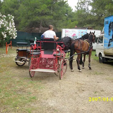 Falanto Camping Village Nuova Gestione * Паладжано